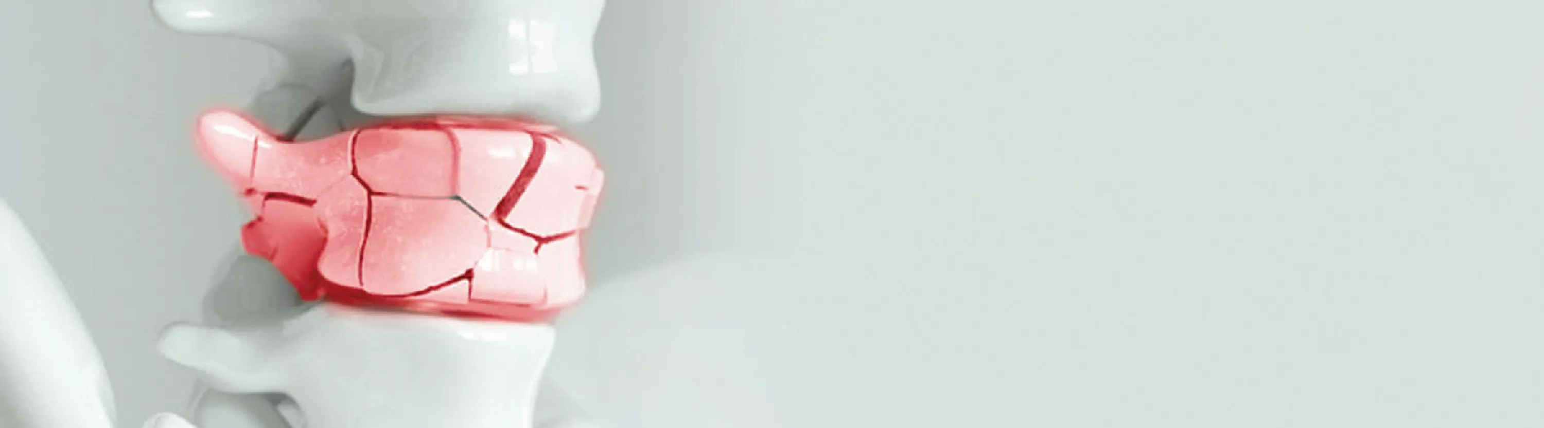 Banner background