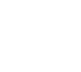 print icon