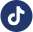 Tiktok Icon